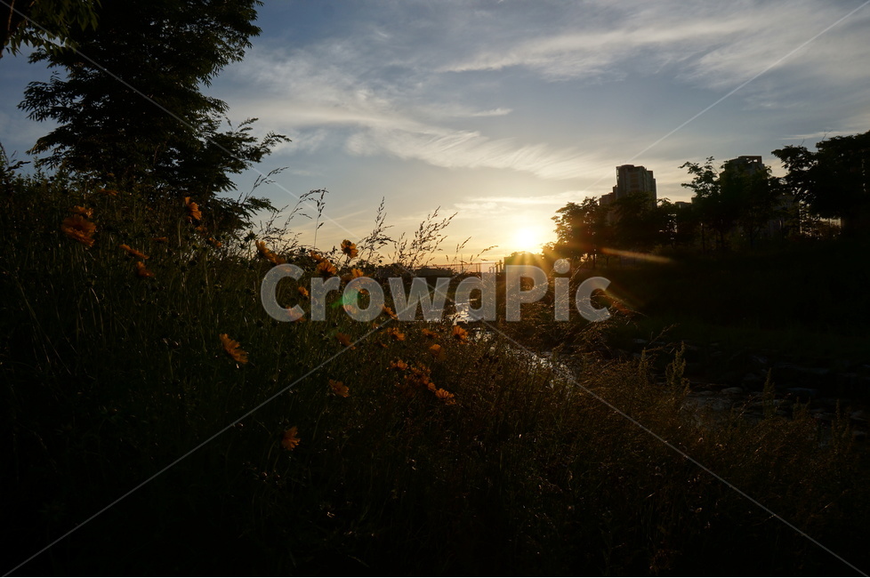 일출,아침,해,빛,맑음,구름,자연,풍경,nature,landscape,light,flare,플레어