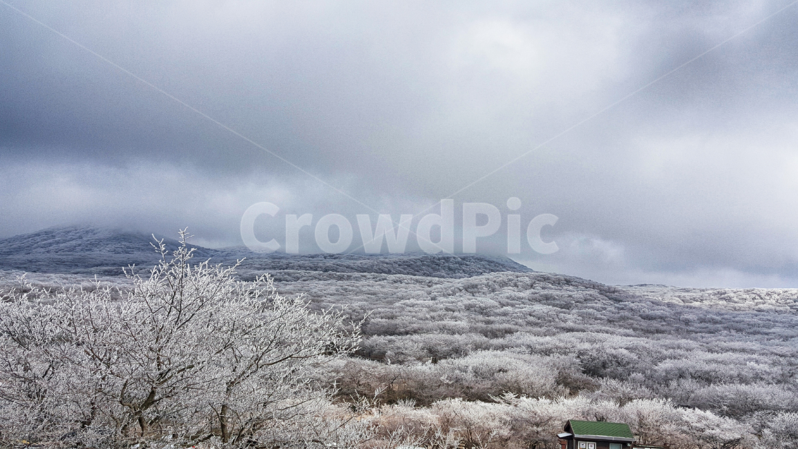 제주도,한라산,1100고지,한라산1100고지,설경,눈꽃,겨울,자연,옥외,눈,nature,outdoors,snow,풍경,겨울풍경,겨울,계절,winter,season,자연,풍경,nature,landscape