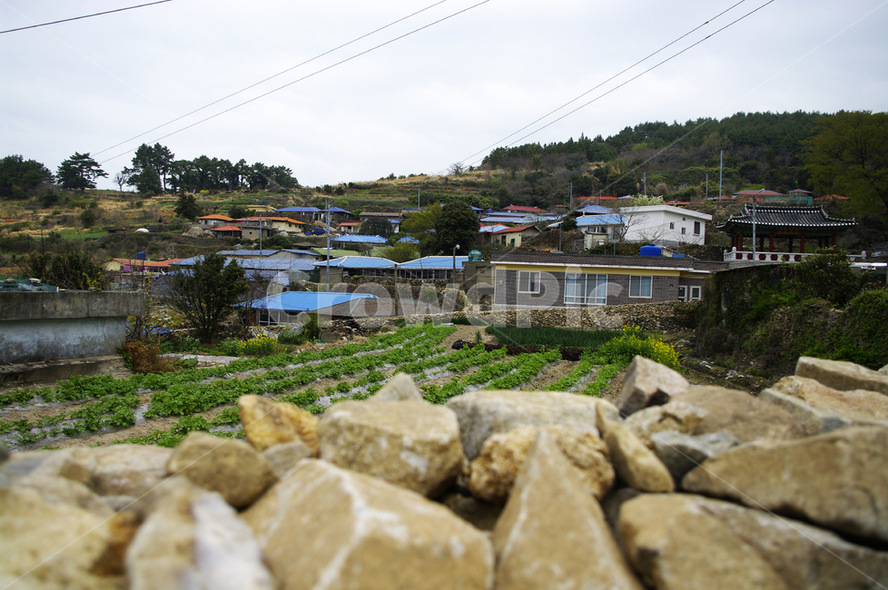 돌담,집,시골,농촌,마을,밭,시골,마을,풍경,landscape,country,rural,town