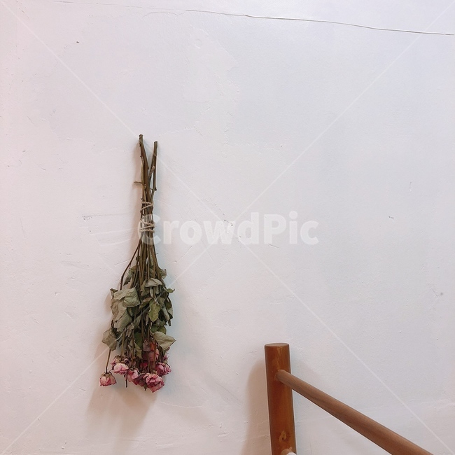 드라이플라워,말린꽃,여자친구선물,로즈데이,말린장미,꽃보관,말린장미꽃,flower,꽃