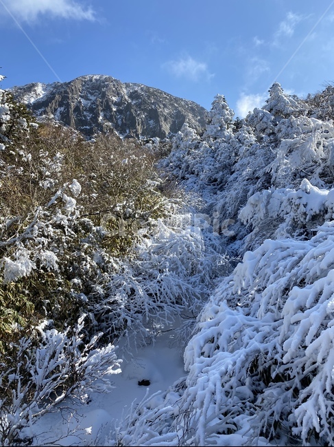 mountain,nature,자연,설산,한라산,눈꽃,겨울,계절,winter,season