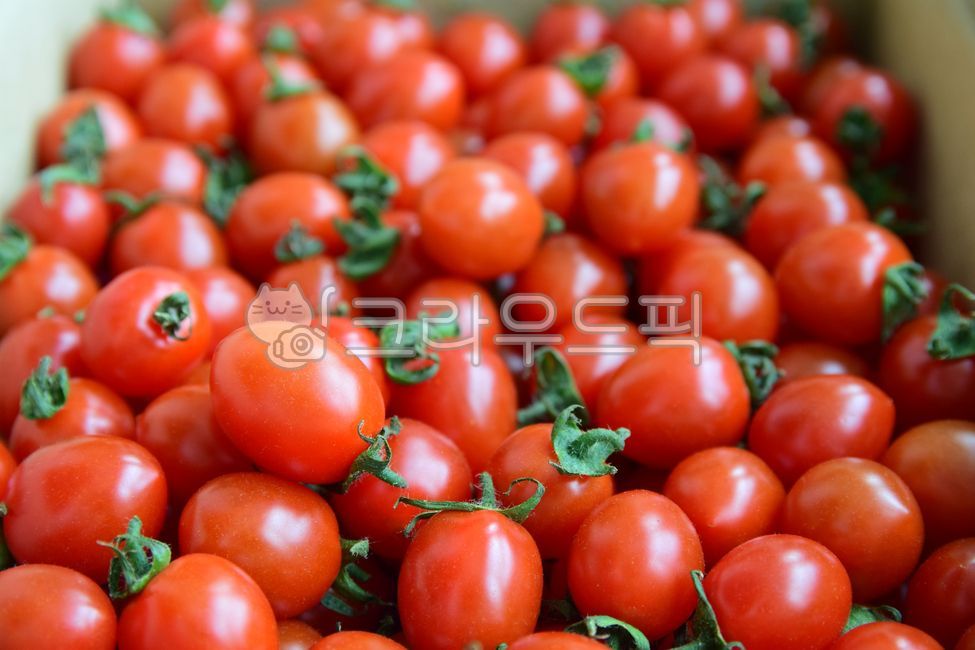 Cherry tomato,cherrytomato,fruit,desirable,tomato,red,wellbeing,healthy food,ingredients,ripe,diet,Fruit,health,delicious,food,Red,dessert,foodreserves
