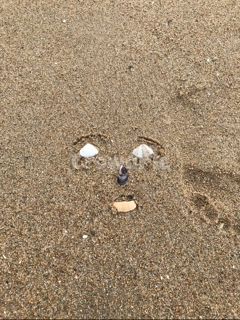 sand,모래,조개,shell,rock,돌,얼굴,face,cute,귀여운얼굴,귀여운,눈,코,입,eye,nose,lip,nature,자연