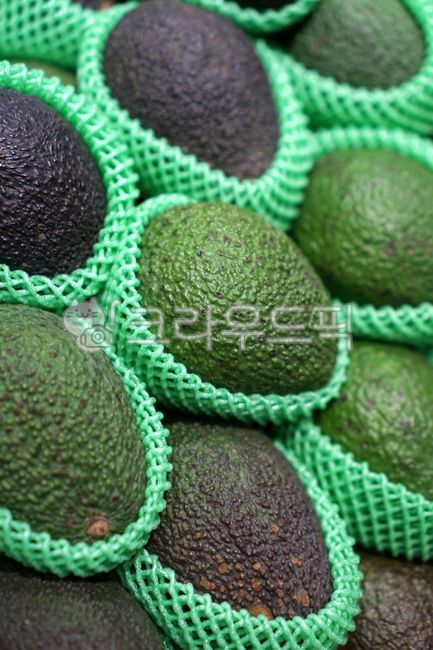 exhibition,avocado,green,fruit cap,fruit wrapping paper,neatly,fruit,Individual fruit net,net network,fruit net,round,Convex and convex,step by step,bumpy,Round,Sort,buffer,tropical fruit