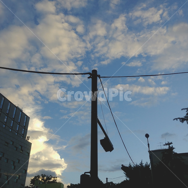 여름하늘,여름,푸르른,청량한,종묘,공원,sky,summer,노을,저녁하늘,노을하늘,앤틱한,빈티지한,가로등,자연,풍경,nature,landscape
