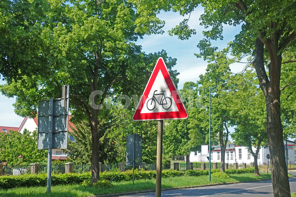 자연,nature,sign,자전거,자전거표지판,나무,도로,tree,햇살,햇빛,sunlight,교통,교통수단,traffic,transportation