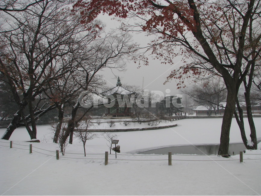궁궐,경복궁,향원정,겨울,눈,호수,한국,대한민국,겨울,계절,winter,season,한국전통,한국문화,korean traditional,korean culture