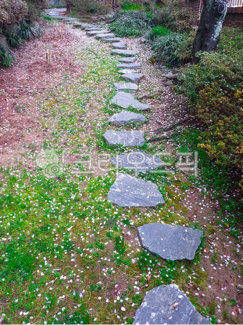 spring,stepping stone,blossom,flagstone,cherry blossom road,road,spring road,falling flower,stone bridge,ground,cherryblossoms