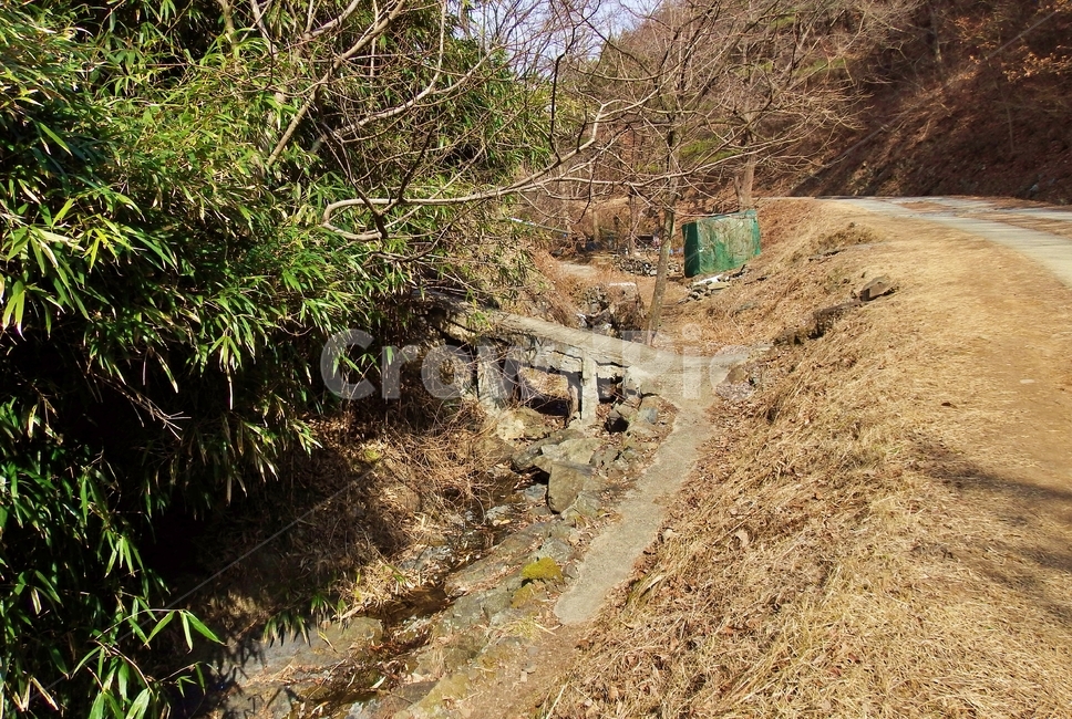 동네뒷산,뒷산,나무,산,산행,산길,자연,풍경,nature,landscape,gravel,자갈,road,도로,dirt road,흙길,ground,바닥