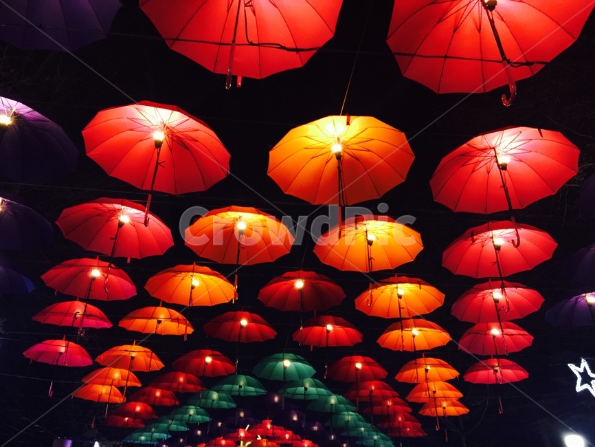 우산,umbrella,빛,lignt,야간,night,조명