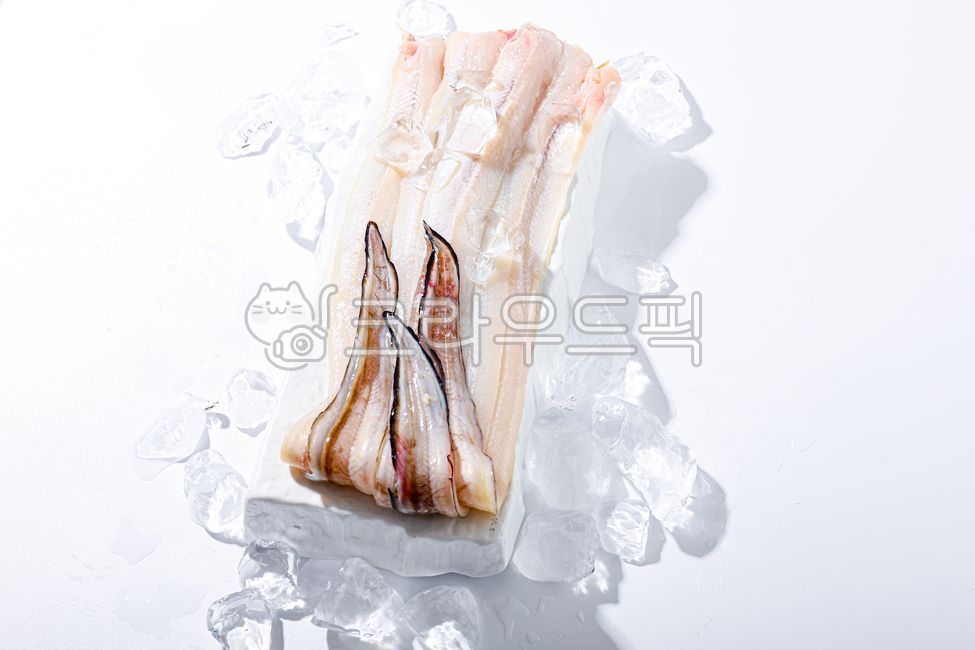 장어,그릇,원물,바다장어,민물장어,신선,수산물,자연