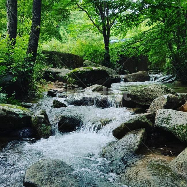 자연,물,nature,water,outdoors,자연,풍경,nature,landscape,옥외,stream,흐름,creek,작은 만