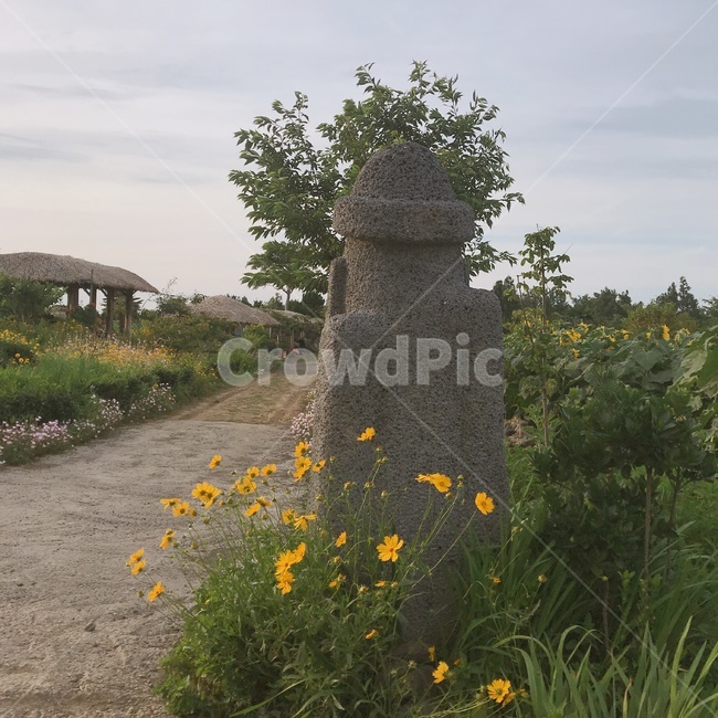 제주도,돌하르방,돌하르방뒷모습,조각물,풍경,제주도,jeju,jeju island,plant,식물