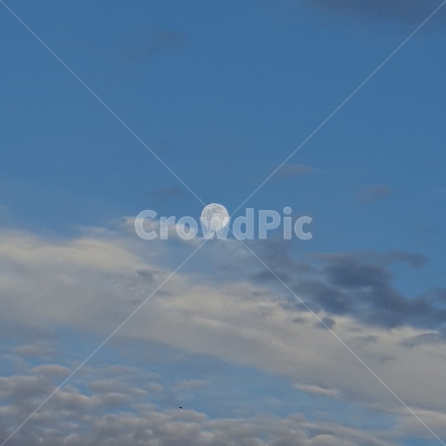 moon,sky,풍경,landscape,하늘,감성,분위기,분위기있는,달,야경,밤,풍경,nightscape,night,landscape,nature,자연,outdoors,옥외
