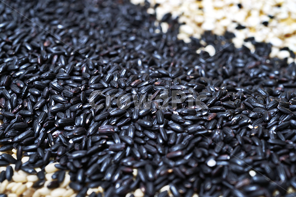 흑미,유색미,곡물,식용,쌀,검은쌀,검정쌀,농산물,음식,식재료,요리,food,cook,meal,dishes,food reserves,곡류,곡식,cereals
