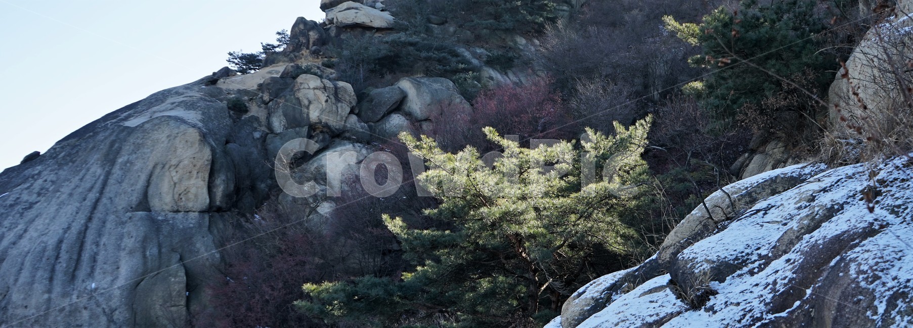나무,빛,자연,산,겨울,숲,rock,winter,season,pine,light,shadow,그림자,바위,솔,소나무,풍경,landscape,park,cold,감성,자연,풍경,nature,landscape,outdoors,옥외