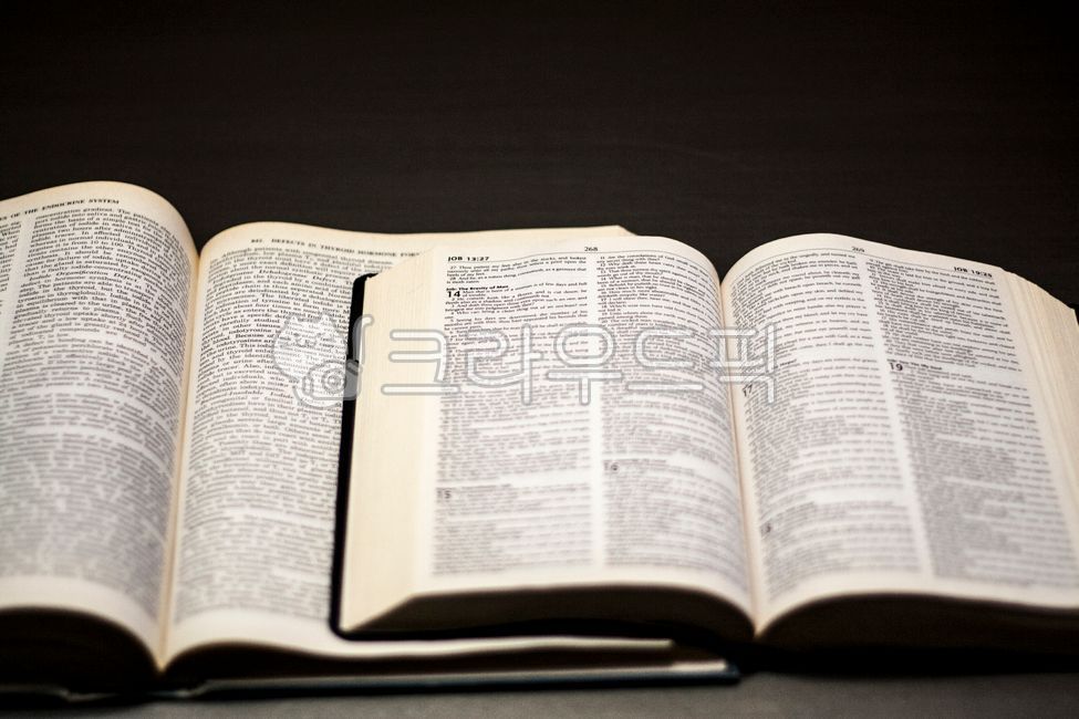 book,책,성경책,성경,영어책,영자책,서적