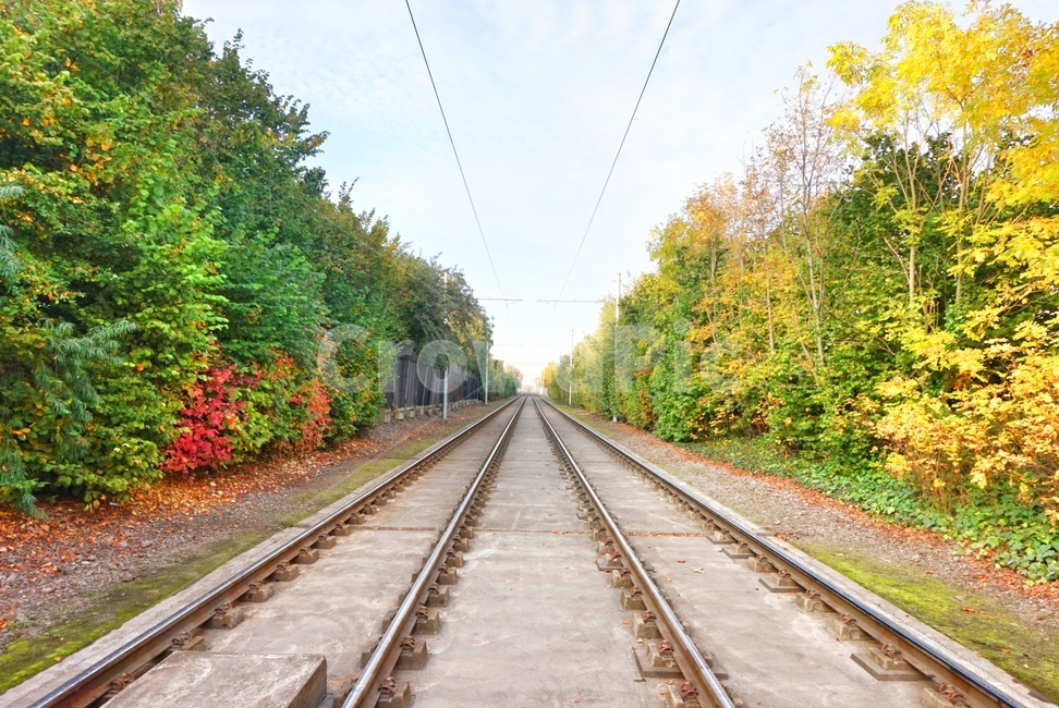 rail,레일,railway,철도,traintrack,기찻길