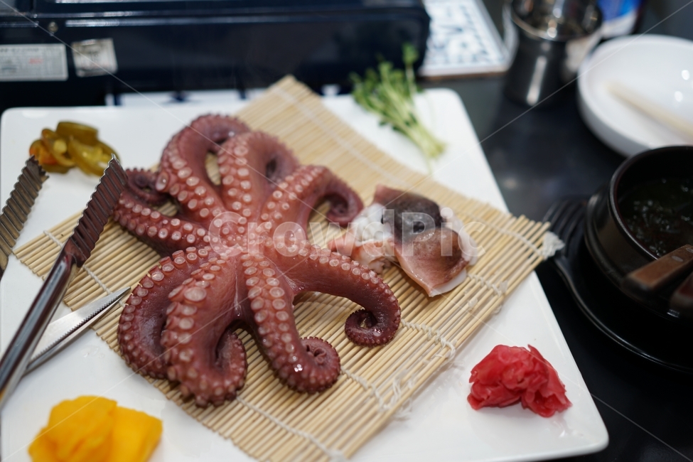 	안주,먹방,문어,해산물,문어숙회,술안주,회,먹거리,음식,푸드,씨푸드,시푸드,술자리,식감,소주안주,안주거리,안줏거리,빨판,통문어,음식,식재료,요리,food,cook,meal,dishes,food reserves,수산물,해산물,fishery products,seafood