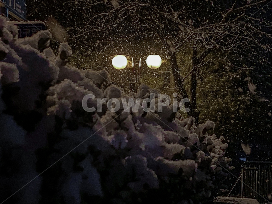 눈,가로등,밤,풍경,첫눈,snow,light