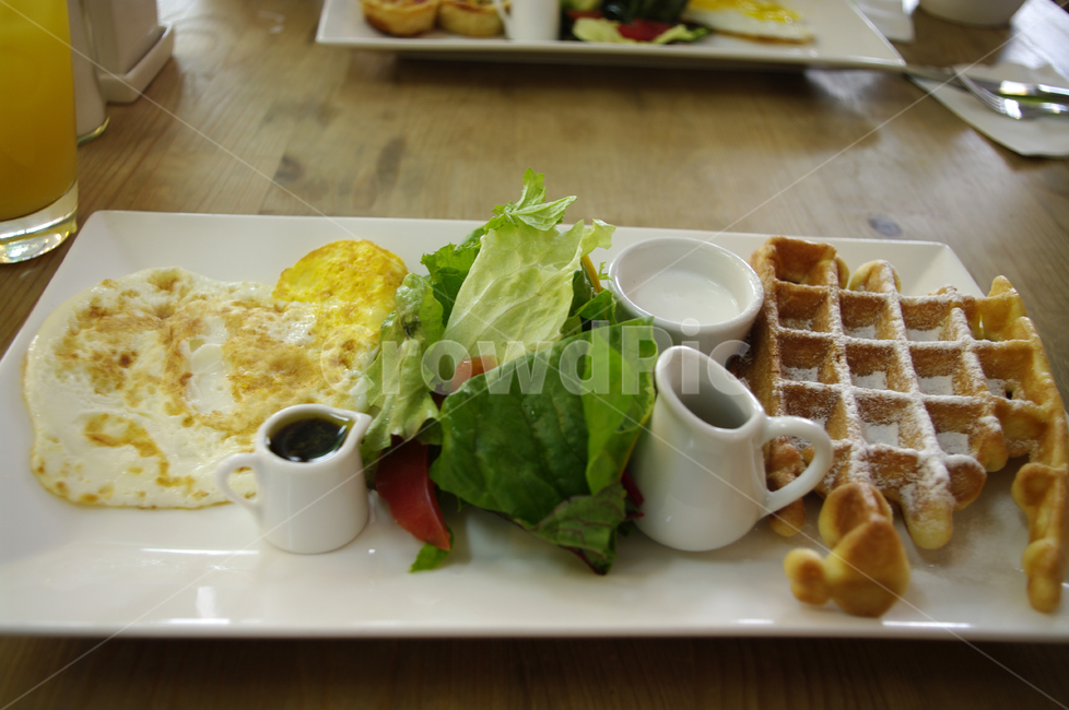 브런치,아침식사,식사,요리,food,와플,음식,식재료,요리,food,cook,meal,dishes,food reserves,아침식사,조식,브런치,breakfast,brunch