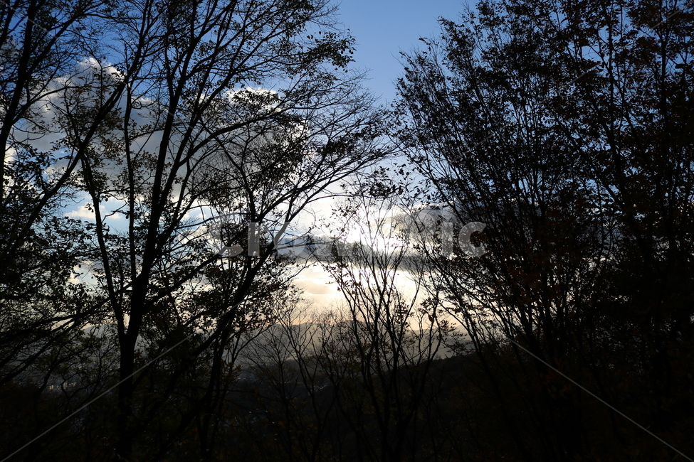 하늘,구름,나무,자연,풍경,자연,풍경,nature,landscape,silhouette,실루엣,tree,plant,식물,outdoors,옥외