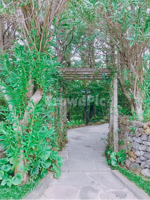 정원,가든,비밀의정원,산책,나무,공원,걷기,자연,풍경,nature,landscape,outdoors,옥외,garden,arbour,정자,patio,안마당