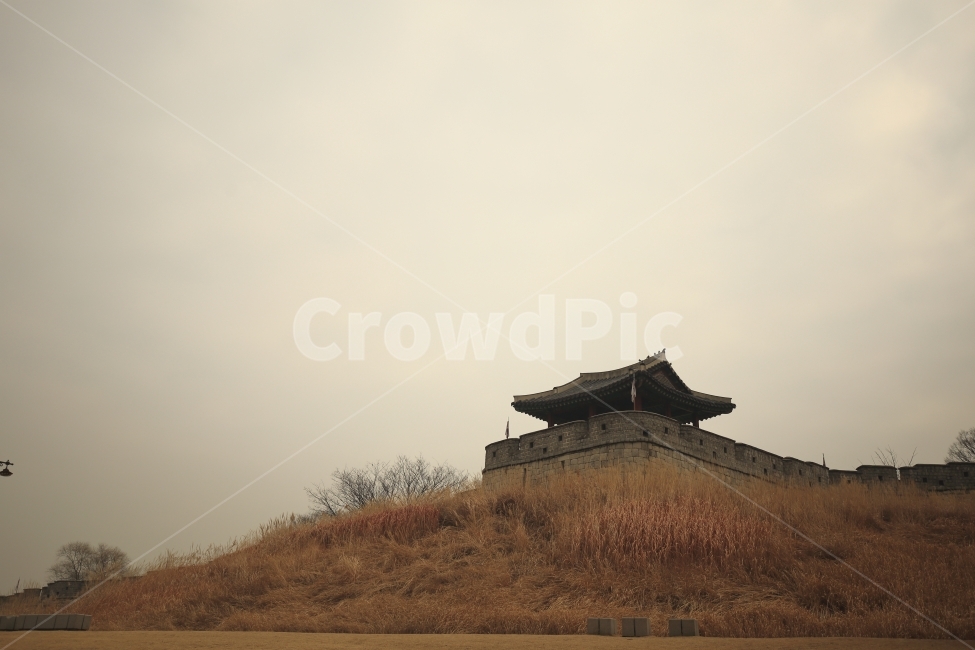 수원화성,자연풍경,수원시,갈대,화성,풍경사진,한국전통,한국문화,korean traditional,korean culture,건축물,건물외관,exterior,building,structure,architecture,construction