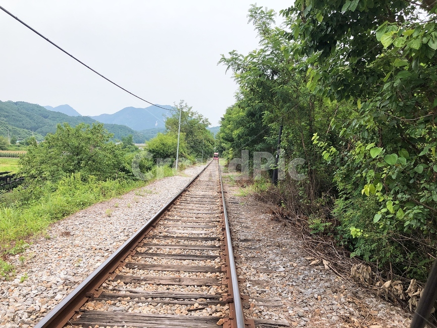 레일바이크,기찻길,railbike,춘천,railroad
