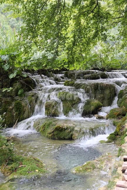 크로아티아,크로아시아,플리트비체,croatia,plitvice,plitvica,국립공원,공원,폭포,숲,요정숲,연못,강,호수,나무,여름,유럽,waterfall,pond,lake,park,tree,forest,자연,풍경,nature,landscape