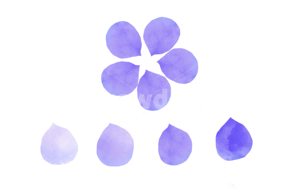 꽃,생화,수채화,일러스트,removebackground,스티커,누끼,누끼,remove background