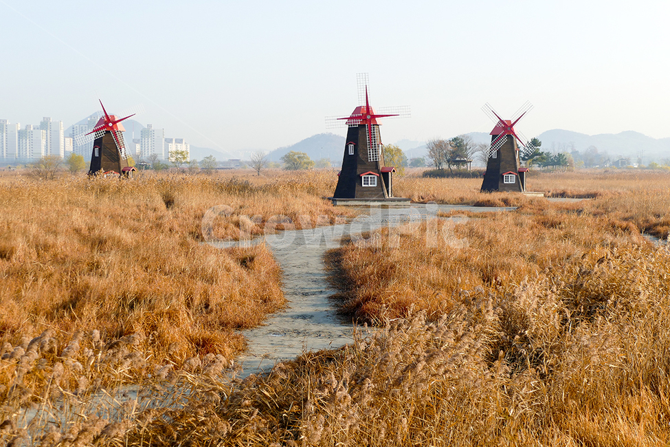 풍차,소래습지생태공원,3풍차,늦가을,소래,가을,계절,fall,autumn,season,건축물,건물외관,exterior,building,structure,architecture,construction,engine,엔진,motor,모터,machine,기계