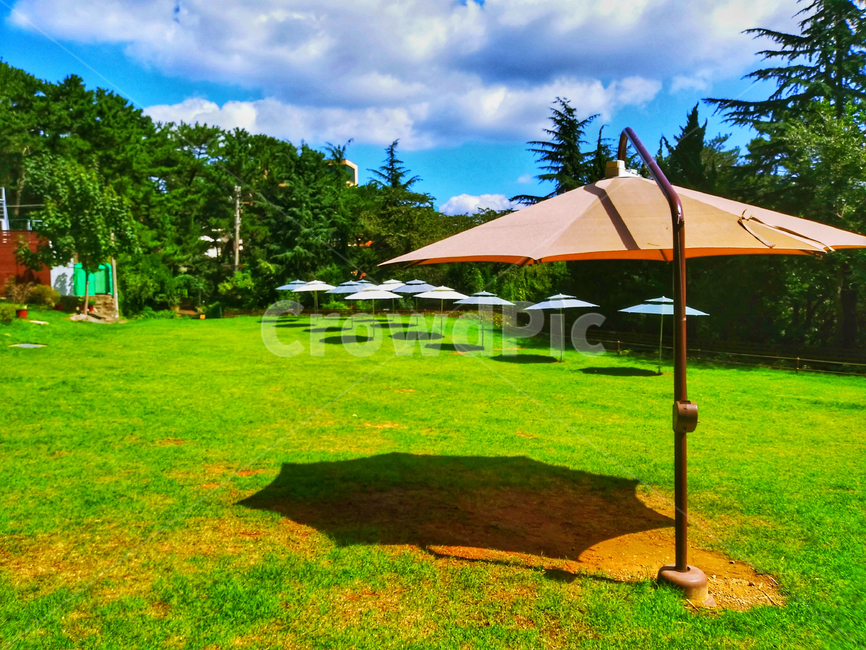 여름,양지,파라솔,잔디,summer,grass,sky,tree,나무