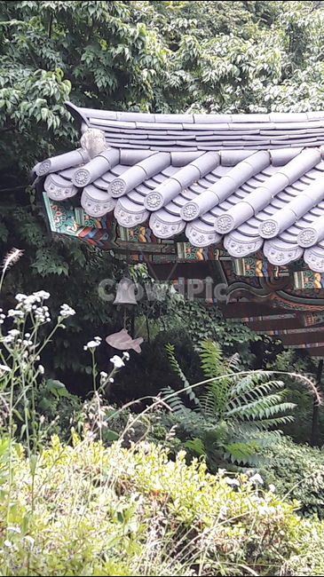 봉은사,절,풍경,물고기모양,사찰,한국전통,한국문화,korean traditional,korean culture,건축물,건물외관,exterior,building,structure,architecture,construction