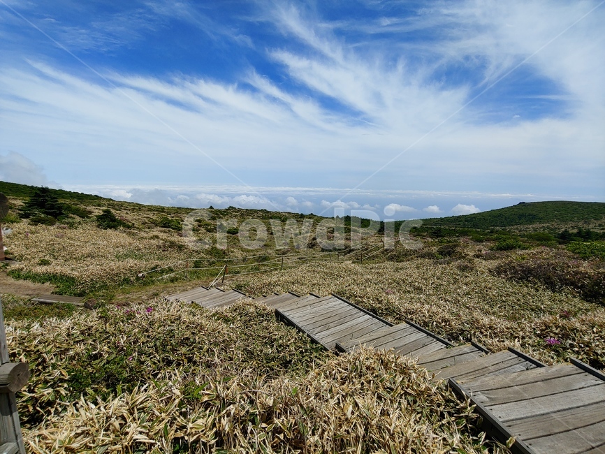 하늘,산,구름,들판,길,mountain,sky,clouds,green,초록,등산,한라산,배경,데크