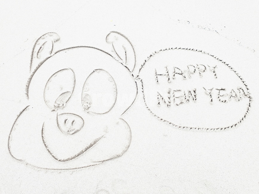 새해인사,happynewyear,해변낙서,2019년새해인사,돼지의해,기해년인사,2019년인사,바닷가낙서,돼지,모래글씨,해변글씨,해변,바다,beach,sea