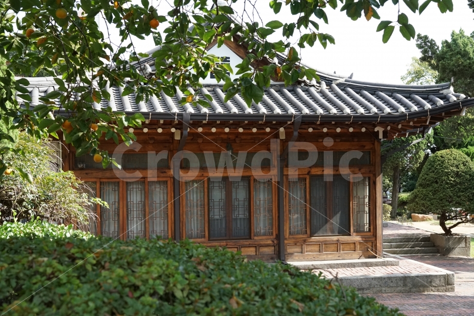 한옥,한옥집,기와,전통적,힌국적,한국전통,한국문화,korean traditional,korean culture,건축물,건물외관,exterior,building,structure,architecture,construction