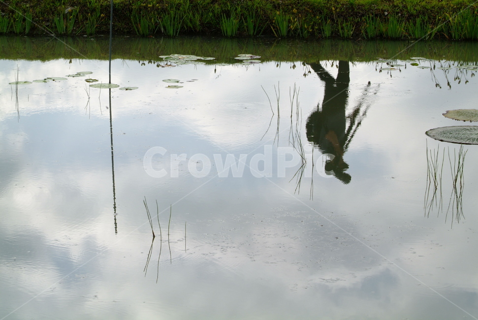 반영,연꽃,연못,reflection,하늘반영,자연,풍경,nature,landscape,사람,인물,인간,human,person,인물실루엣,사람실루엣,character silhouette,human silhouette,outdoors,옥외,land,땅,water,물