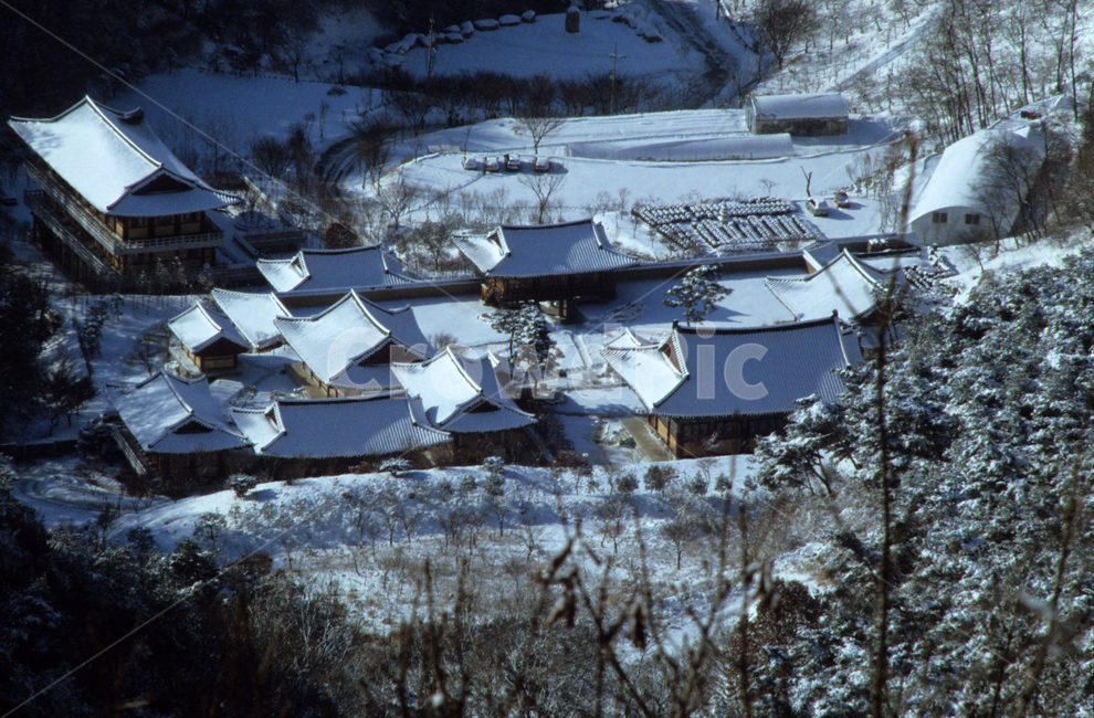 창룡사,산사,풍경,겨울,계절,sansa,mountaintemple,building,scenery,winter,겨울,계절,winter,season,한국전통,한국문화,korean traditional,korean culture,건축물,건물외관,exterior,building,structure,architecture,construction
