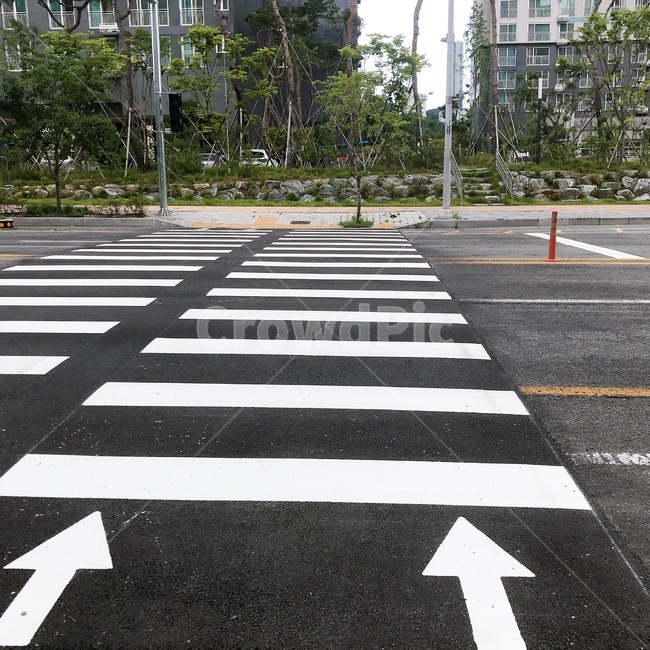 아스팔트,횡단보도,우측통행,road,도로
