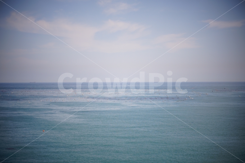 하늘,바다,가을,half,파랑색,자연,수평선,구름,sky,sea,autumn,blue,cloud,nature,색감,color,배경화면,자연,풍경,nature,landscape,leisure activities,레저 활동,adventure,모험,outdoors,옥외
