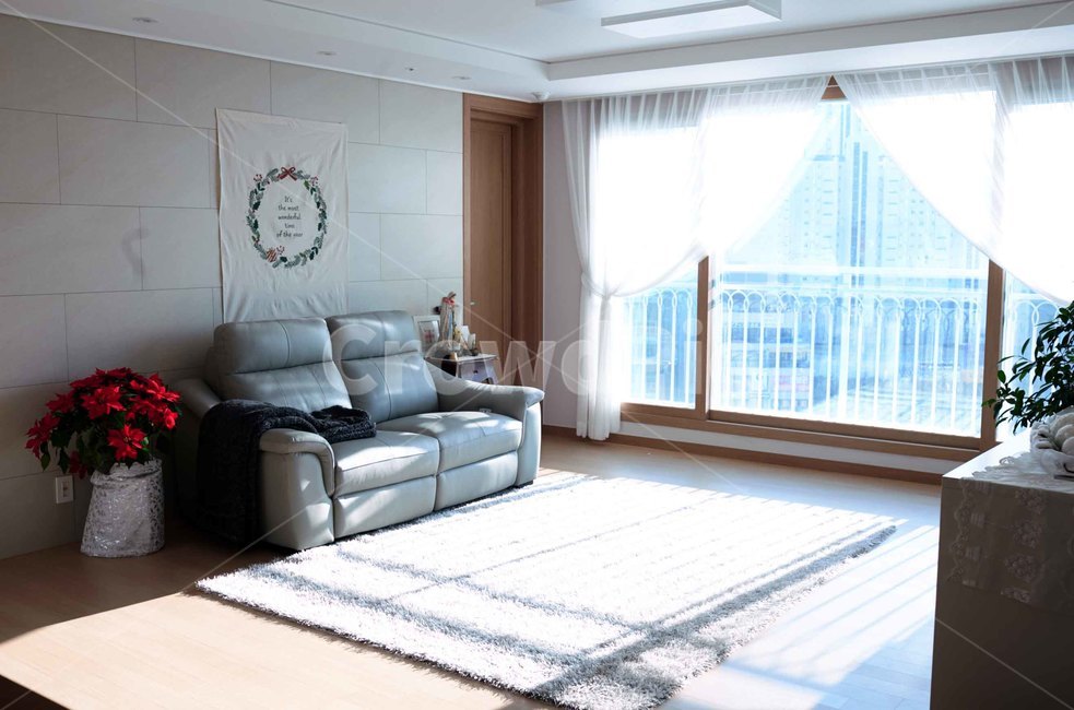 거실,햇살,거실뷰,쇼파,포인세치아,livingroom,sittingroom