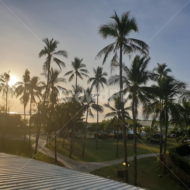 summer,여름,필리핀,세부,philippines,휴가,황혼,석양,새벽,휴양지,cebu,빈티지,이국적인,하늘,감성,풍경