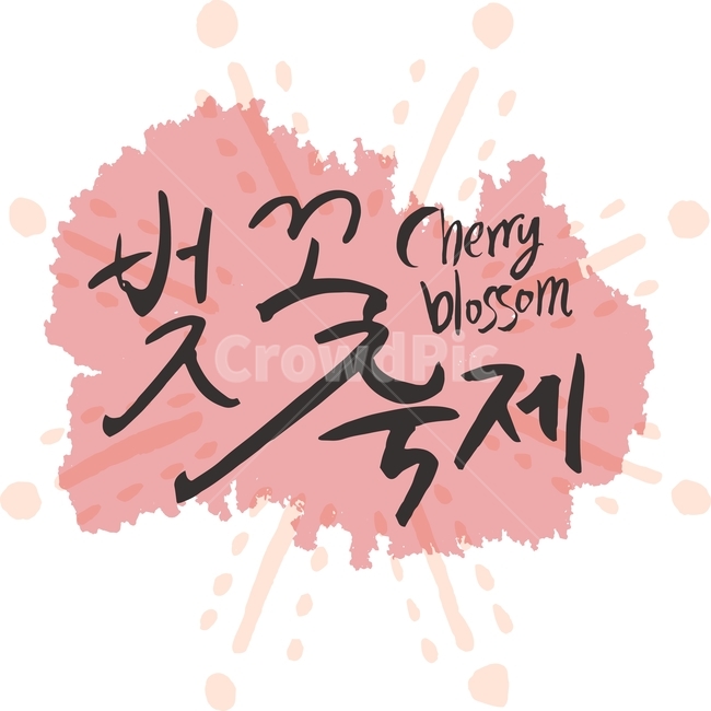 벚꽃놀이,벚꽃축제,일러스트,벡터,봄,캘리그라피,패턴,패키지,라인,텍스처,질감,다이어리,책표지,북커버,팝업,배너,계절,벚꽃,축제,꽃,캘리,번짐,잉크,캘리그라피,손글씨,calligraphy