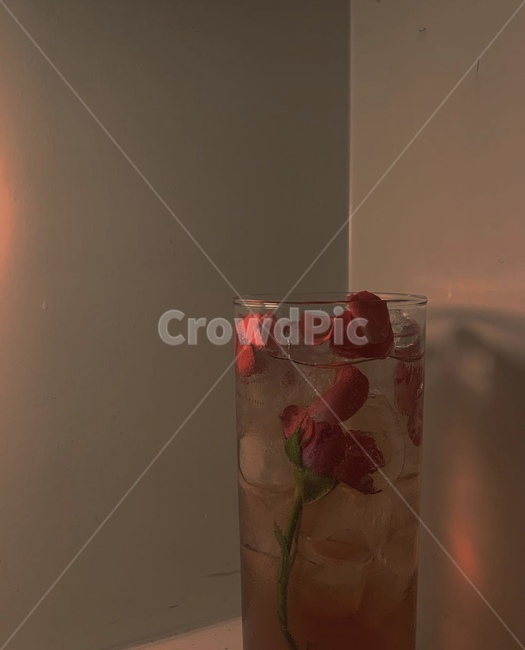 칵테일,음료수,꽃,cocktail,장미,음료수,drink,beverage