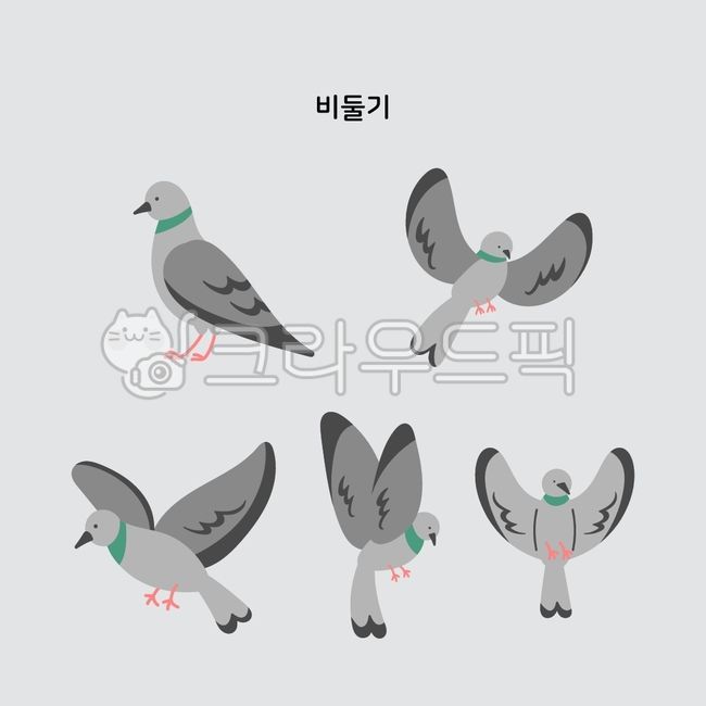 비둘기,비둘기일러스트,새,동물,새일러스트,동물일러스트,닭,달걀,조류,플랫,심플,귀여운,캐릭터,아기동물