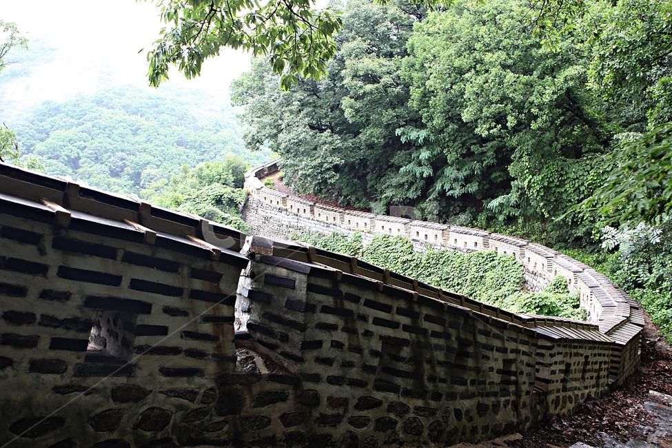 남한산성,성,성곽,길,둘레길,벽,숲길,숲,담,돌담,풍경,여름