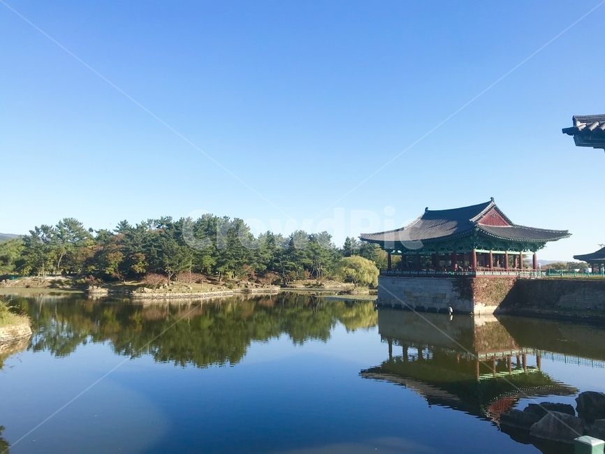풍경,경주,불국사,안압지,봄