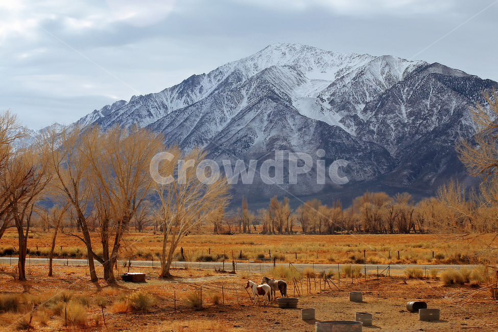 nature,자연,outdoors,mountain,california,산,자연,풍경,nature,landscape,해외,외국,세계,foreign,oversea,world,세계자연풍경,해외자연풍경,외국자연풍경,world nature landscape