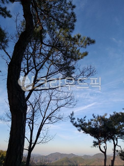 mountain peaks,pine trees,Autumn sky,summit,chilly